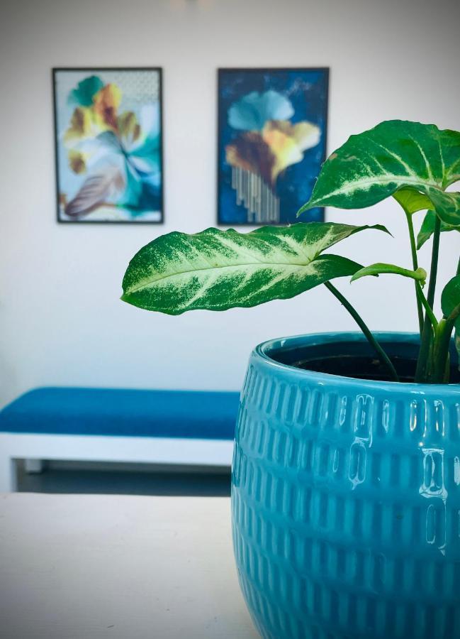 The Oval House, Kochi - Approved By Kerala Tourism - Exclusively For Families Villa Eksteriør bilde